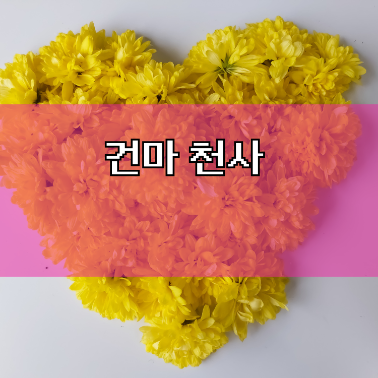 대전 유성구 출장마사지 안내 | 생활권별 이용 정보 대표 이미지